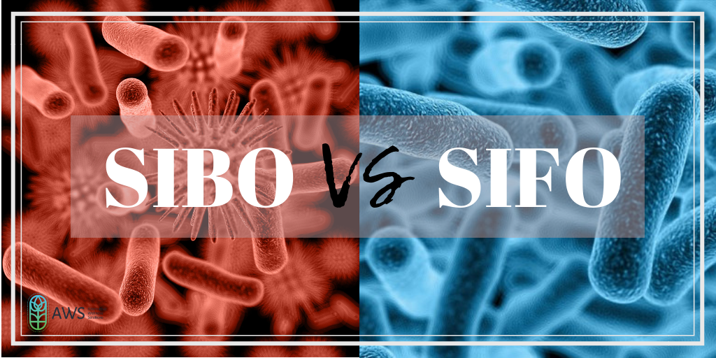 Is it SIBO or SIFO?  Gut Health 101