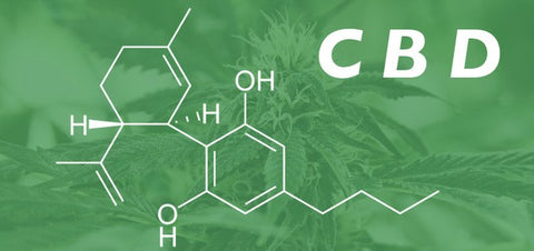 CBD Oil 101 - Ailments That It May Help With