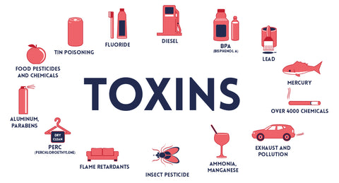 Are You Toxic?  Use This Quiz to Determine How Toxic Your Body Might Be.
